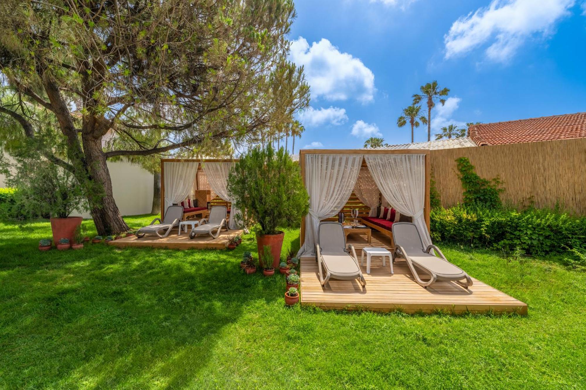 Hotel Trendy Palm
